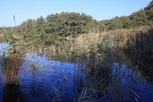 Kleiner See 09. Oktober 2010